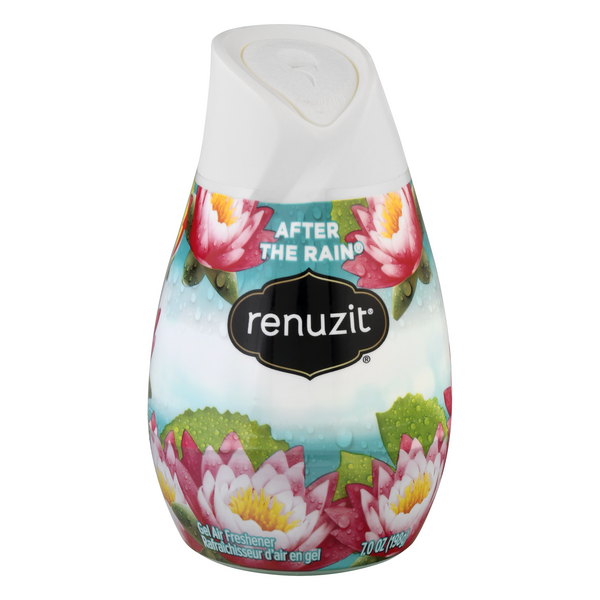 Save on Renuzit Gel Air Freshener After The Rain Order Online Delivery