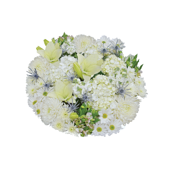 Giant Diamond Girl Bouquet