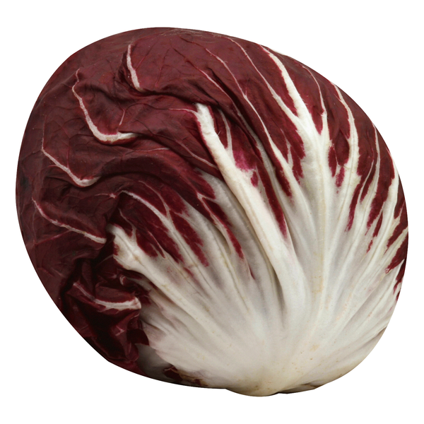 Radicchio Lettuce
