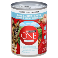 Purina ONE +Plus Bone & Joint Health Chicken & Brown Rice Wet Dog Food