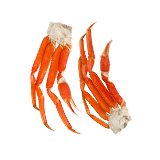 Crab, Lobster & Shellfish