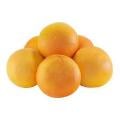 Organic Grapefruit