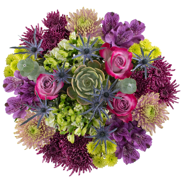 Giant Bloom & Grow February Bouquet