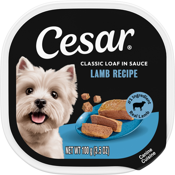 CESAR Classic Loaf in Sauce Lamb Recipe Adult Wet Dog Food
