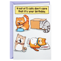 Hallmark Shoebox Funny Birthday Card (Cats Don't Care)