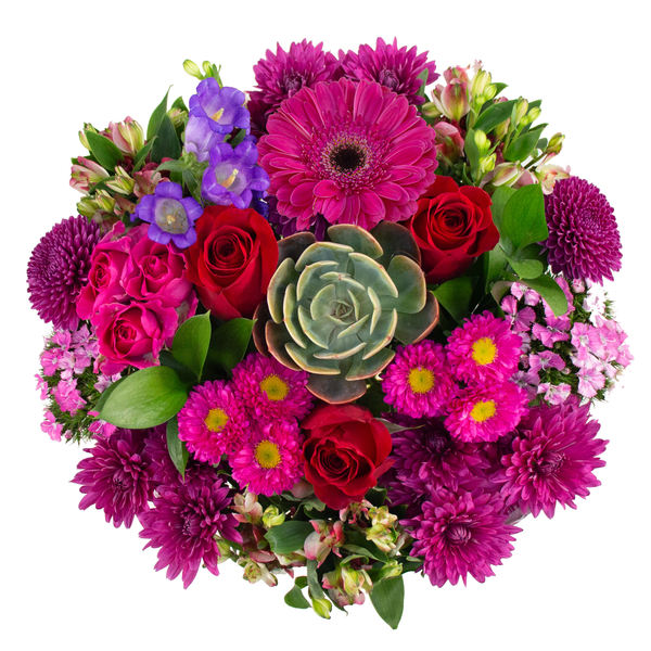 Giant Bloom & Grow April Bouquet