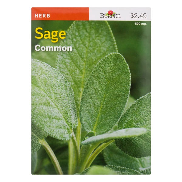 Burpee Herb Sage Common