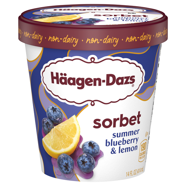 Haagen-Dazs Non-Dairy Summer Blueberry & Lemon Sorbet