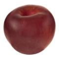 Pluot