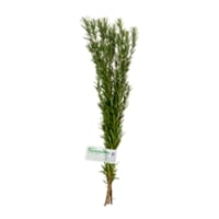 Rosemary Bunch Fresh