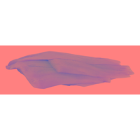 Hannaford Flounder Fillet