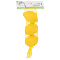 Nature's Promise Organic Lemons - 3 ct