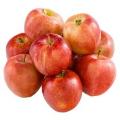 Gala Apple Tote Bag