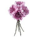 Giant D.I.Y. Disbuds Lavender