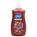 Dial Antibacterial Frosted Cranberry & Pine Liquid Hand Soap