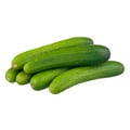 Mini Cucumbers