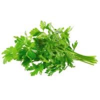 Flat-Leaf Italian Parsley