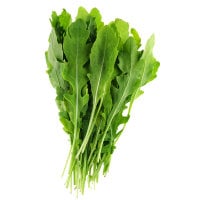 Arugula Lettuce