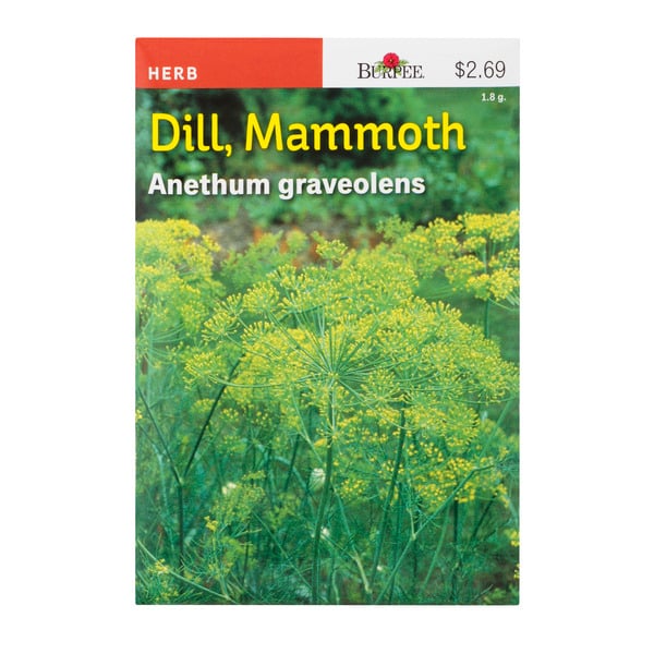 Burpee Herb Dill Mammoth