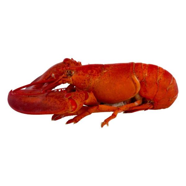 Live Lobster Grab & Go Fresh
