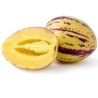 Pepino Melon