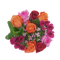 Giant Color Collection Transformative Rose Bouquet