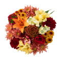 Stop & Shop Botanical Beauty Bouquet
