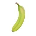 Organic Bananas