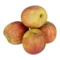 Fuji Apples Bag