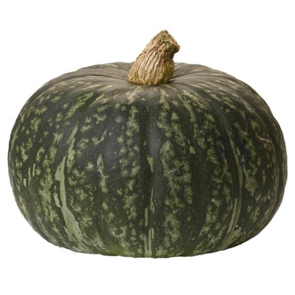 Organic Kabocha Squash