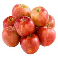 Gala Apples Bag