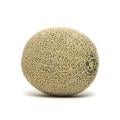Athena Cantaloupe