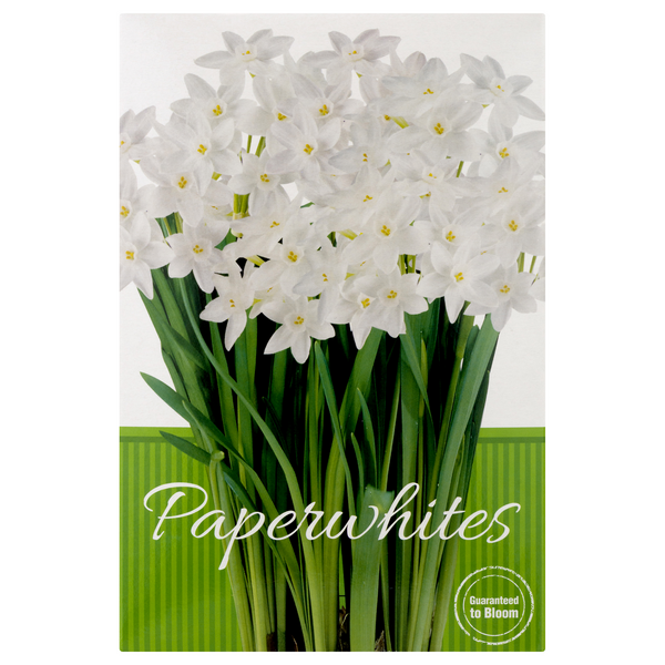 Save on TotalGreen Complete Indoor Grow Kit Paperwhites Order Online