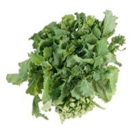 Broccoli Rabe