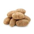 Russet Potatoes Bag
