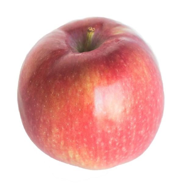 Early Red Apples