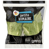 Giant Petite Romaine Lettuce