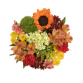 Giant Fall Delightful Bouquet (Colors May Vary)