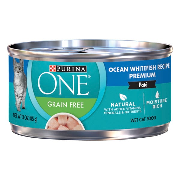 cat food free delivery