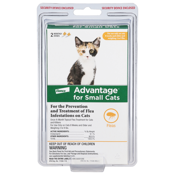 Week Week Pregnant Cat Save On Elanco Advantage Flea Ticks