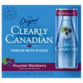 Clearly Canadian Mountain Blackberry Sparkling Water Beverage - 6 pk