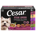 CESAR Steak Lovers Variety Pack Adult Wet Dog Food - 36 ct