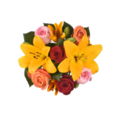 Giant Color Collection Transformative Lily Rose Bouquet