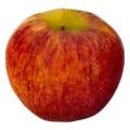 Envy Apples