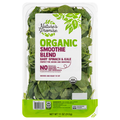 Nature's Promise Organic Spinach & Kale Smoothie Blend