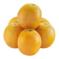 Navel Oranges Bag