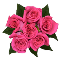 Giant Pink Roses Bunch