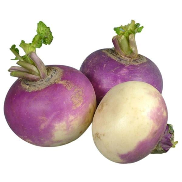 Purple Top Turnips