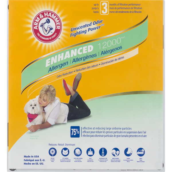 Arm & Hammer Air Filters Allergen Enhanced 12000