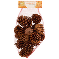 Limited Time Originals Pine Cones Pumpkin Spice Scented